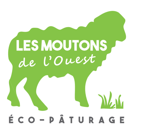 Les Moutons de l’Ouest